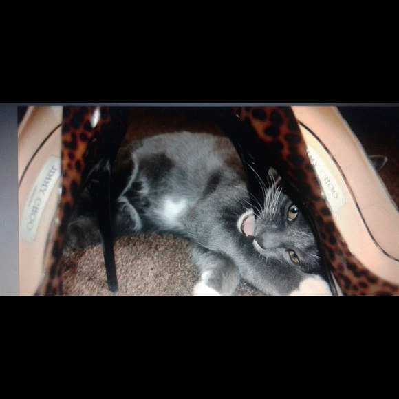 Happy poshing ❤️ - Picture 12 of 16